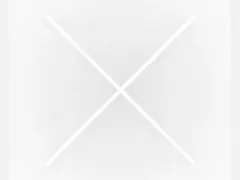 Елена Паришева ражда по Коледа