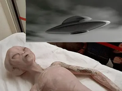 ДОСИЕТАТА Х! Кои родни звезди са виждали НЛО?