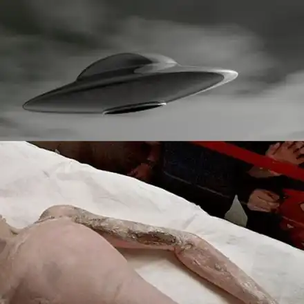 ДОСИЕТАТА Х! Кои родни звезди са виждали НЛО?