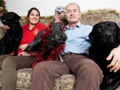 Вижте пуйката, която се мисли за куче (СНИМКИ)