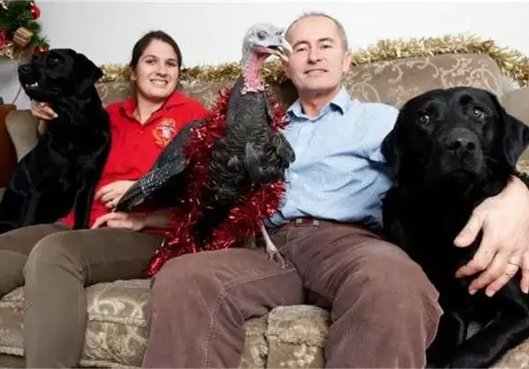 Вижте пуйката, която се мисли за куче (СНИМКИ)