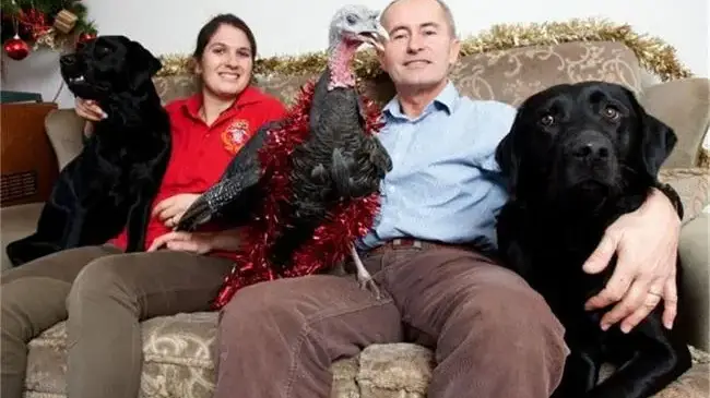 Вижте пуйката, която се мисли за куче (СНИМКИ)