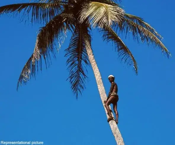 Вижте мъжа, който живее на дърво