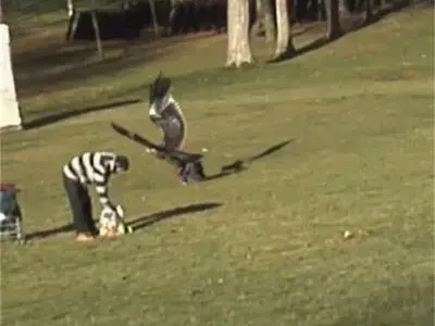 ШОК! Орел открадна дете, помислил го за заек (ВИДЕО)