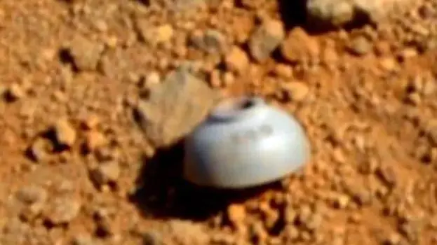 Марсоходът откри извънземен живот! (ВИДЕО)
