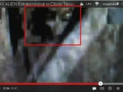Хванаха извънземно в Тексас (ВИДЕО)