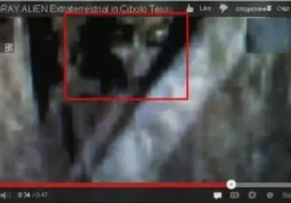 Хванаха извънземно в Тексас (ВИДЕО)