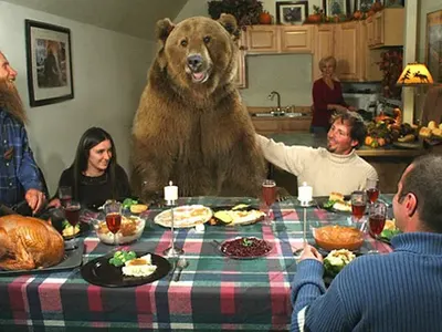 10 снимки, за които просто няма да повярвате, че са истински