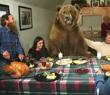 10 снимки, за които просто няма да повярвате, че са истински