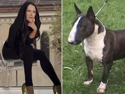 Певиците които приличат на кучетата си (ЗАБАВНИ СНИМКИ)