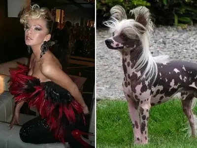 Певиците които приличат на кучетата си (ЗАБАВНИ СНИМКИ)