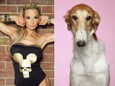 Певиците които приличат на кучетата си (ЗАБАВНИ СНИМКИ)