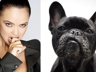 Певиците които приличат на кучетата си (ЗАБАВНИ СНИМКИ)