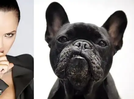 Певиците които приличат на кучетата си (ЗАБАВНИ СНИМКИ)