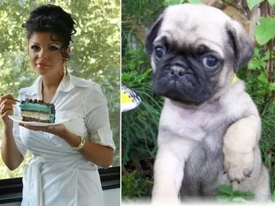 Певиците които приличат на кучетата си (ЗАБАВНИ СНИМКИ)