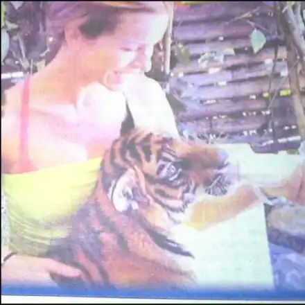 Вижте как Аксиния кърми