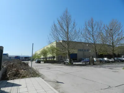 Кой е измамникът Георги Колев?