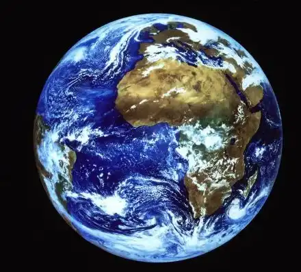 Вижте най-грозната кучка в света (СНИМКИ)