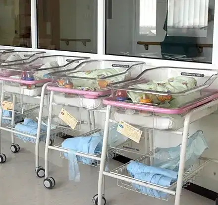 Акушерка разтърси България с тайния си дневник