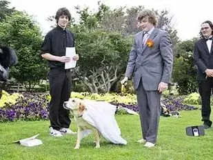 Топ 10 на най-шантавите венчавки