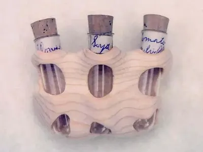 Възможно ли е?! Близнаци се родиха с три години разлика