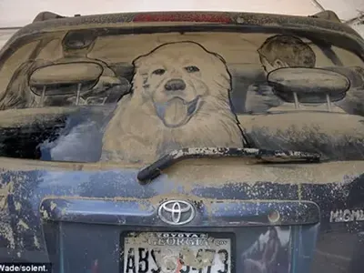 Художник рисува върху мръсни коли (Снимки)