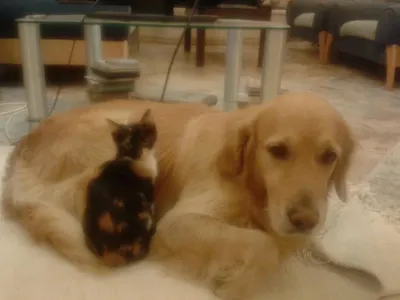 Вижте в какъв лукс живее Мира Радева (Снимки от дома й)