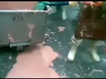 Потресаващо! Ето как се правят колбасите (Видео)