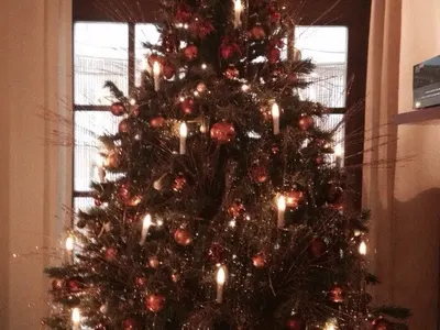 За тях няма криза! Вижте как родните звезди посрещнаха Коледа (ПРИКЗНИ СНИМКИ)