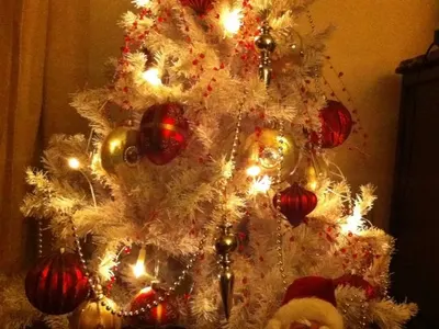 За тях няма криза! Вижте как родните звезди посрещнаха Коледа (ПРИКЗНИ СНИМКИ)