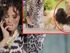КУЛТОВ ГАФ в новото видео на Николета я направи за смях! И кучетата не могат да й устоят (ФОТО)