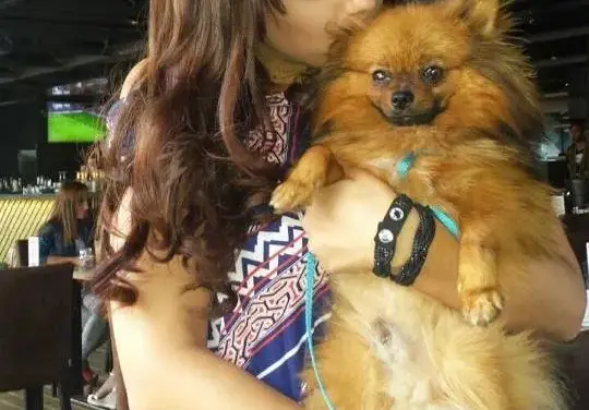 Емануела се награби с любимия на Преслава