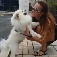 Глория плати 2 бона откуп за Принц (Подробности)