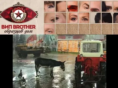 „ВИП Брадър“ стартира с грандиозен скандал! (От екипа се извиниха във Фейсбук)