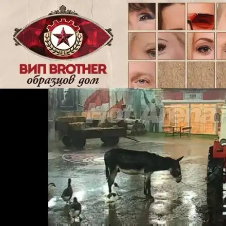 „ВИП Брадър“ стартира с грандиозен скандал! (От екипа се извиниха във Фейсбук)