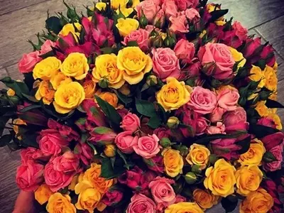 Атрактивно! Николета изпече шаран на Валери само по престилка  (Снимки от имения ден)