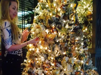 Коледен лукс! Антония Петрова с две елхи, Николета с оригинални фото играчки (Вижте украсите на звездите - СНИМКИ)