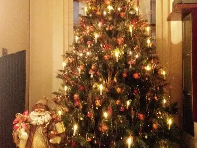 Коледен лукс! Антония Петрова с две елхи, Николета с оригинални фото играчки (Вижте украсите на звездите - СНИМКИ)