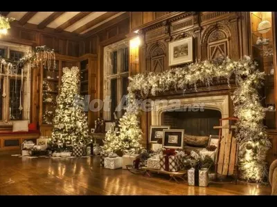 Лукс и коледен уют цари в дома на Брендо! (Вижте ексклузивни снимки от палата на кокаиновия крал)