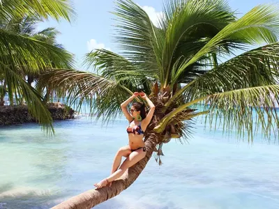 Дубай стана квартал на фолка! Мавриций и Малдивите запазена марка на плеймейтките (Пълна галерия от звезден рай!)