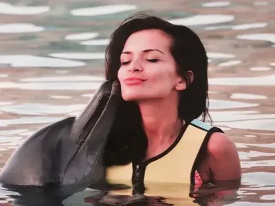 Дубай стана квартал на фолка! Мавриций и Малдивите запазена марка на плеймейтките (Пълна галерия от звезден рай!)