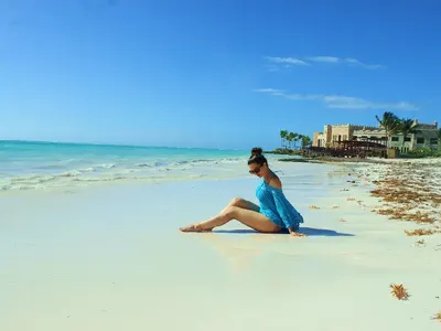 Дубай стана квартал на фолка! Мавриций и Малдивите запазена марка на плеймейтките (Пълна галерия от звезден рай!)