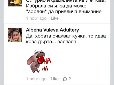 Вулева поведе война на Кучкова и политика й!