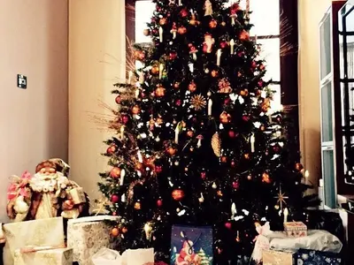 Звездна Коледа–как празнуваха известните?