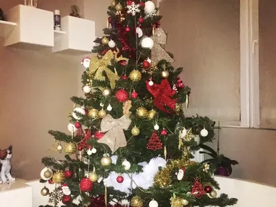 Звездни коледни украси! Мария, Моника и Цвети Янева с приказни елхи! (Вижте най-оригиналните празнични СНИМКИ)