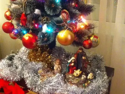 Звездни коледни украси! Мария, Моника и Цвети Янева с приказни елхи! (Вижте най-оригиналните празнични СНИМКИ)