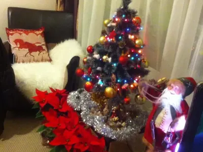 Звездни коледни украси! Мария, Моника и Цвети Янева с приказни елхи! (Вижте най-оригиналните празнични СНИМКИ)