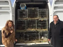 НЕЛЕПО! Илиана Раева се прави на зоозащитничка с кожено палто (СНИМКИ)