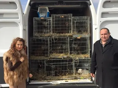 НЕЛЕПО! Илиана Раева се прави на зоозащитничка с кожено палто (СНИМКИ)