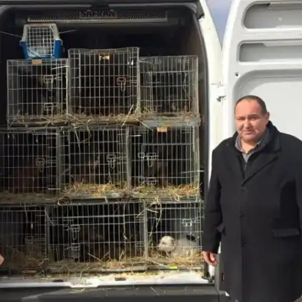 НЕЛЕПО! Илиана Раева се прави на зоозащитничка с кожено палто (СНИМКИ)